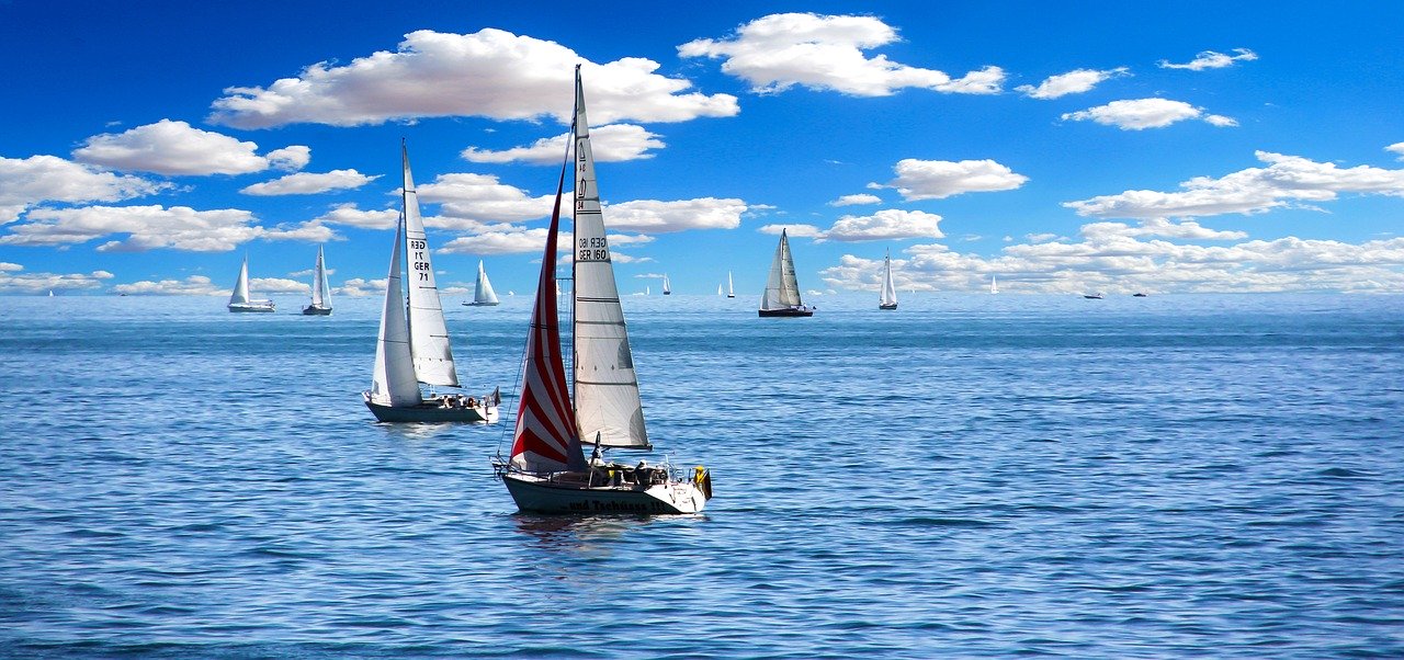 Les sports nautiques : Exemples de sports d’équipe